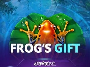 Frogs Gift screenshot
